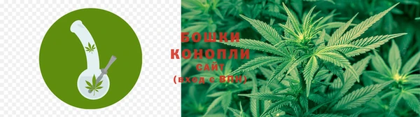 каннабис Инта