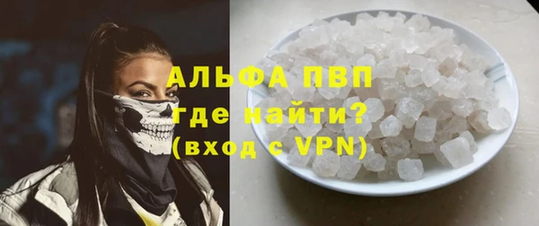 гидра Инсар