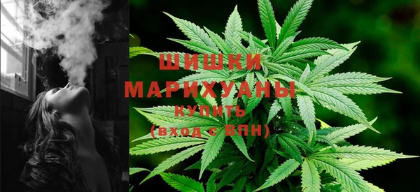 гидра Инсар