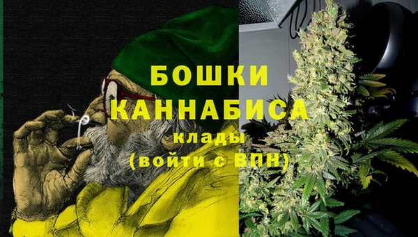 гидра Инсар