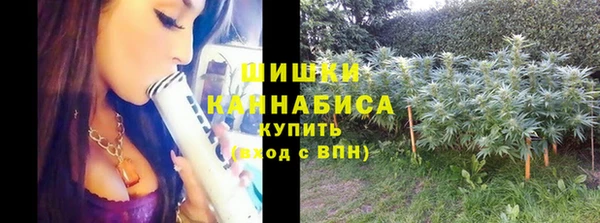 гидра Инсар