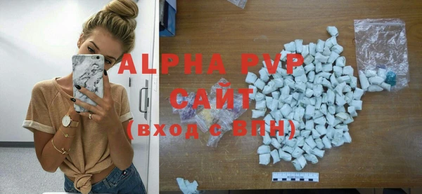 гидра Инсар