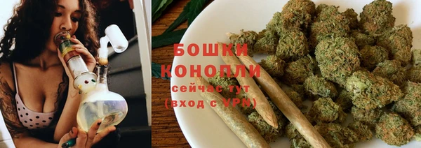 Альфа ПВП Каменка