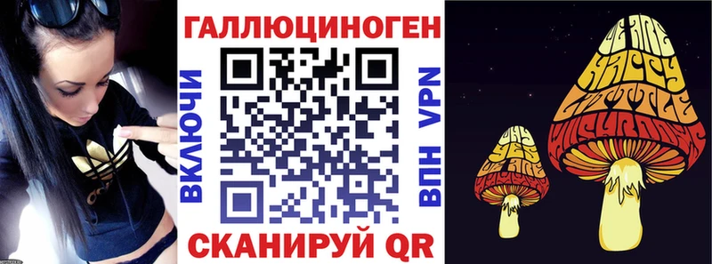 Псилоцибиновые грибы GOLDEN TEACHER  Купить закладки  Видное 